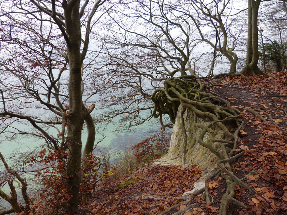 Rügen 4