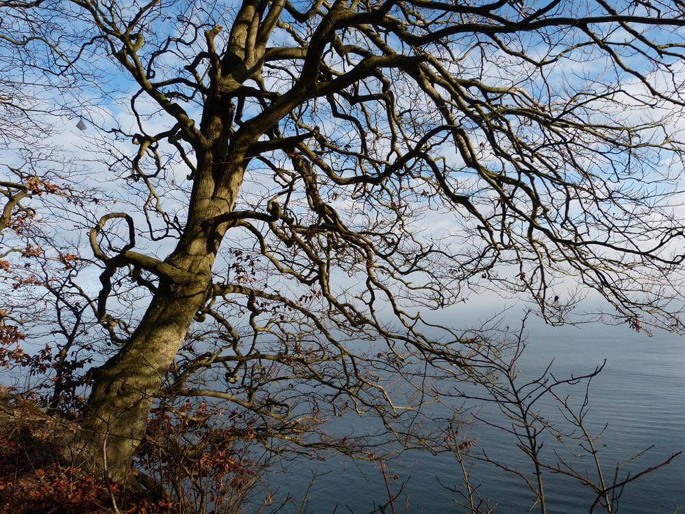 Rügen 7