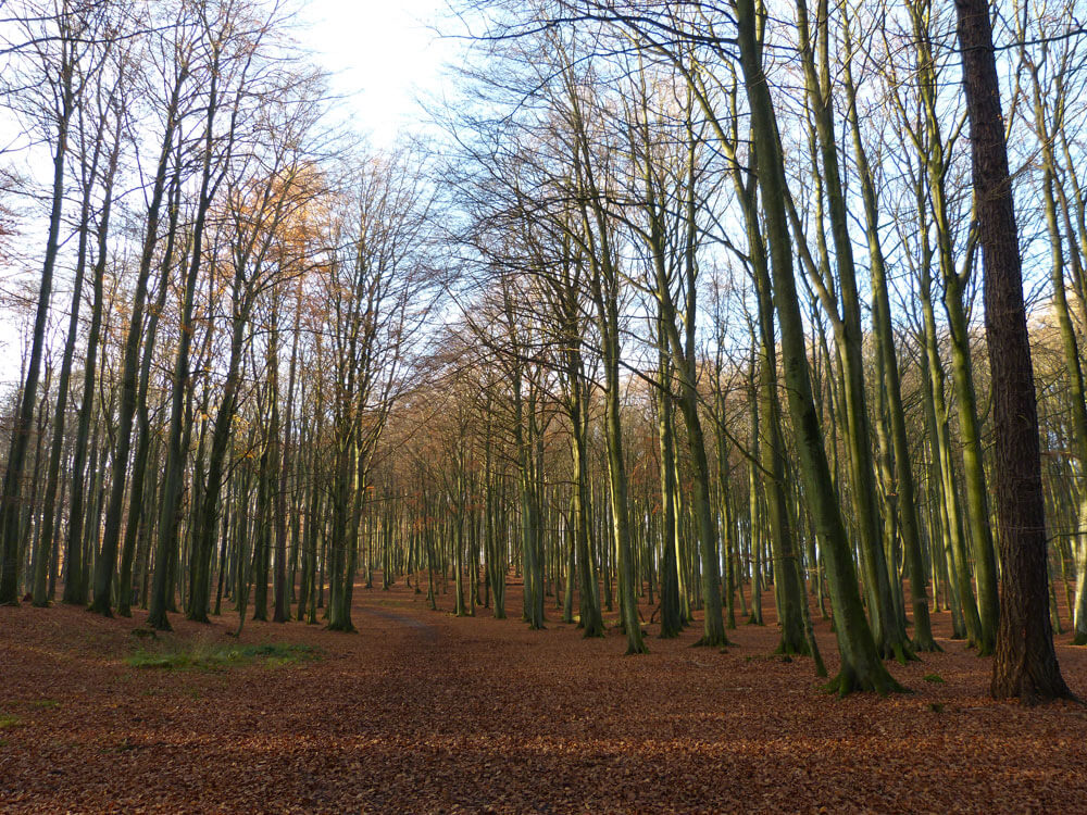 Rügen 8